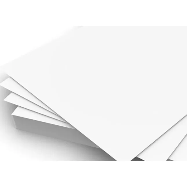 Standard Size 2 (35).webp