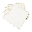 Canvas 2040 (2).webp