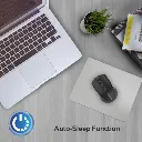 153.webp