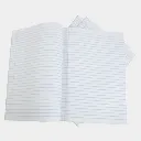 ABC Fulscab Paper  1.webp