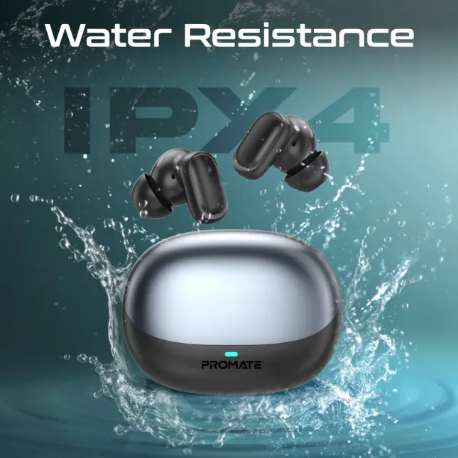 8.webp