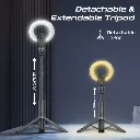 6.webp