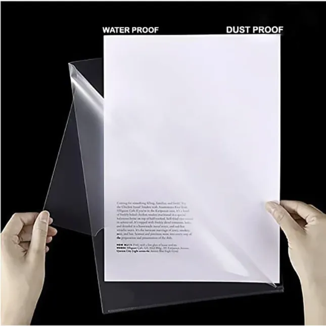 4.webp