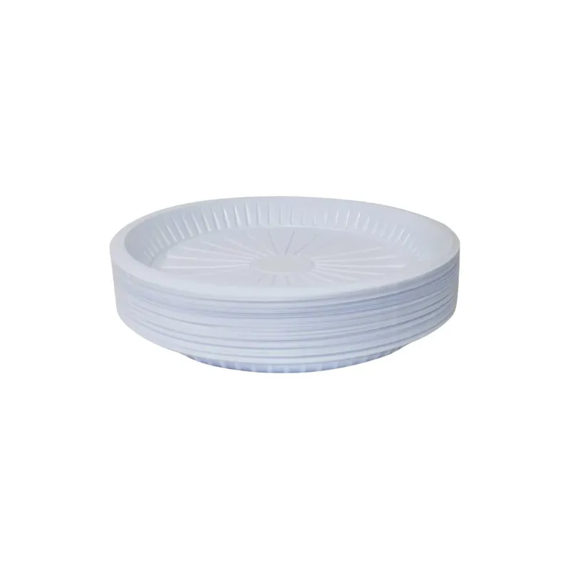 Resize (49).webp