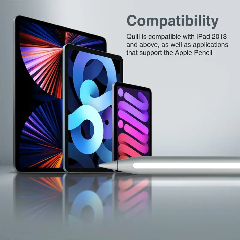 5.webp