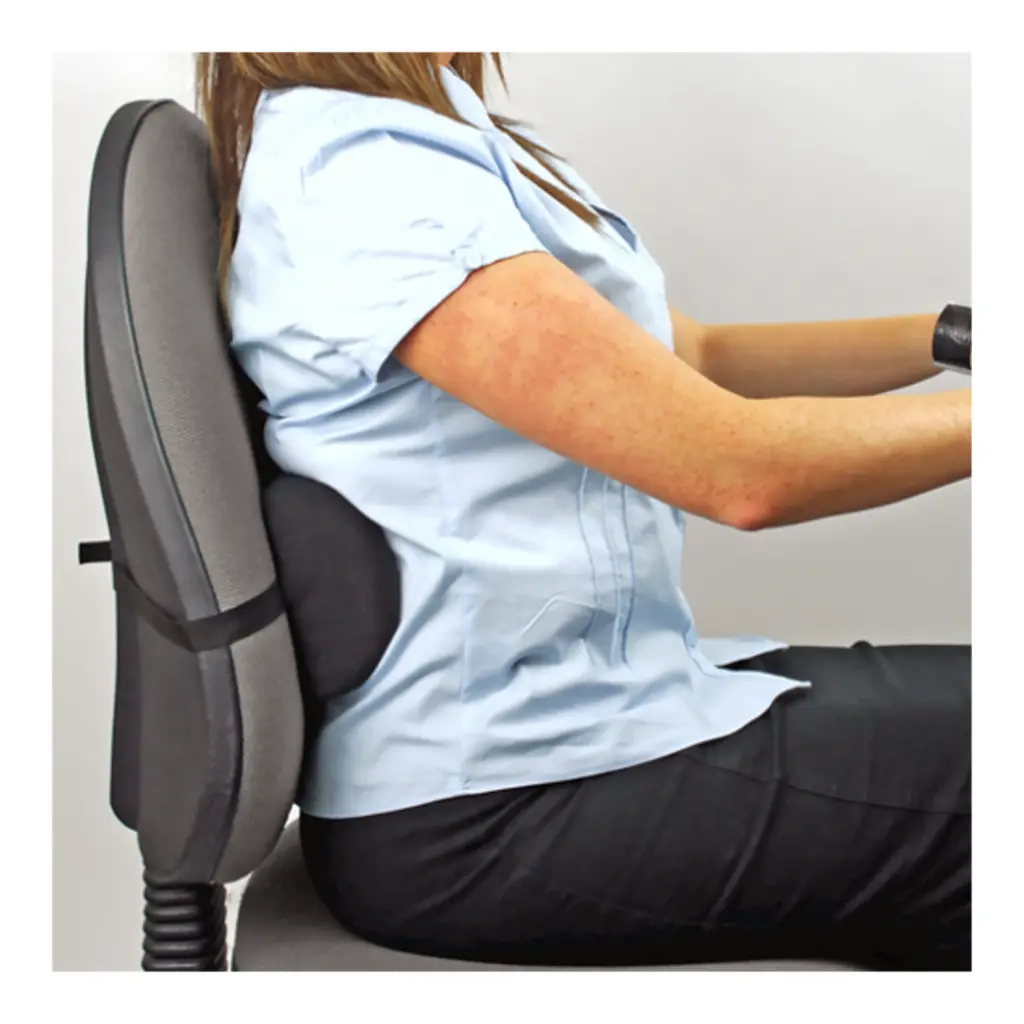 Fellowes Lumbar Supports lower back 2.webp
