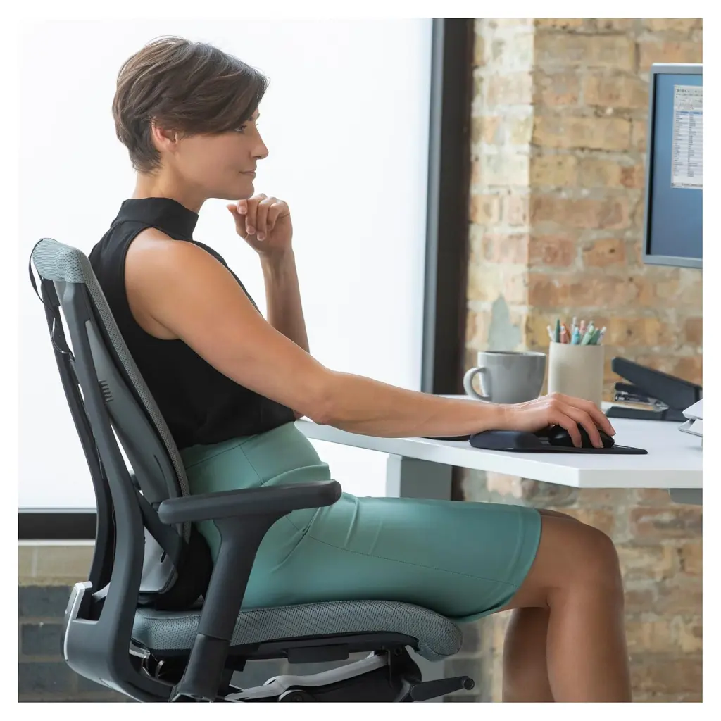 Fellowes Professional Series Back Support 7.webp