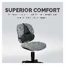 Fellowes Professional Series Back Support 6.webp