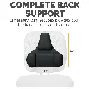 Fellowes Professional Series Back Support 3.webp