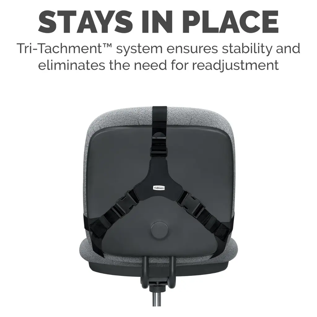 Fellowes Professional Series Back Support 2.webp