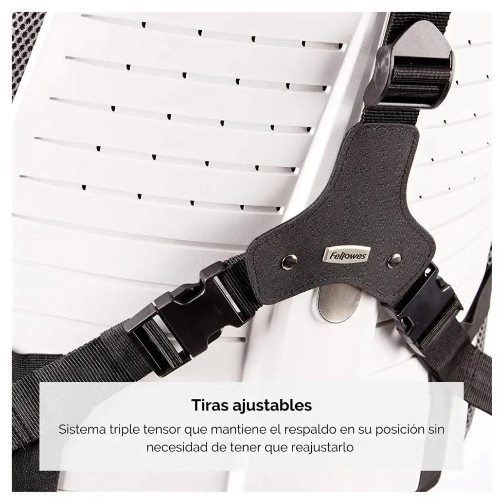 Fellowes Professional Series Back Support 9.webp