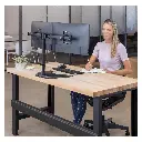 Fellowes Professional Series Free-Standing Dual Horizontal Monitor Arm 6 .webp